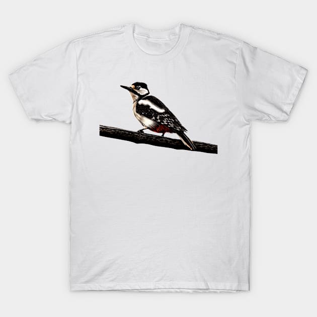 Great spotted woodpecker T-Shirt by lorendowding